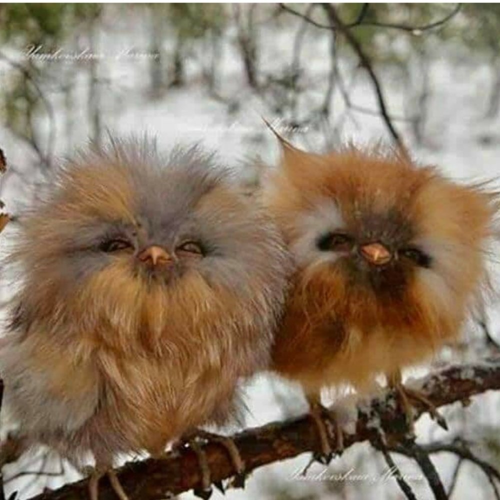 Meet your Posher, Kailynn